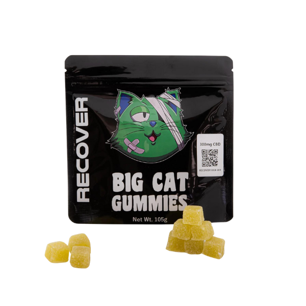 CBD Recovery Gummies